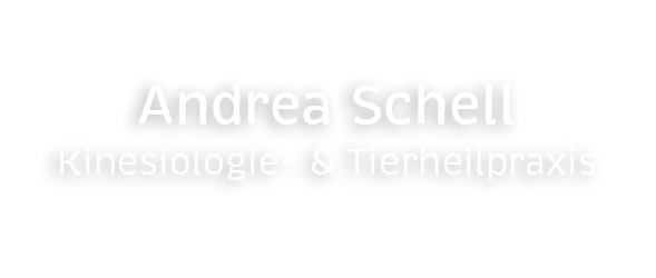 Andrea Schell